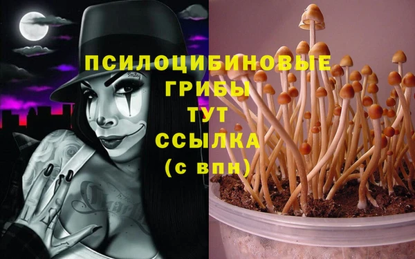 а пвп мука Зеленодольск