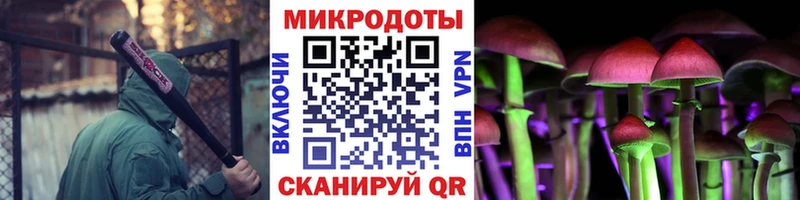 Купить где  Дмитров  Псилоцибиновые грибы Psilocybine cubensis 